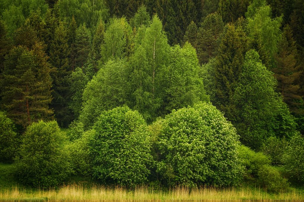 Can You Be Spiritual and Still Get Angry?