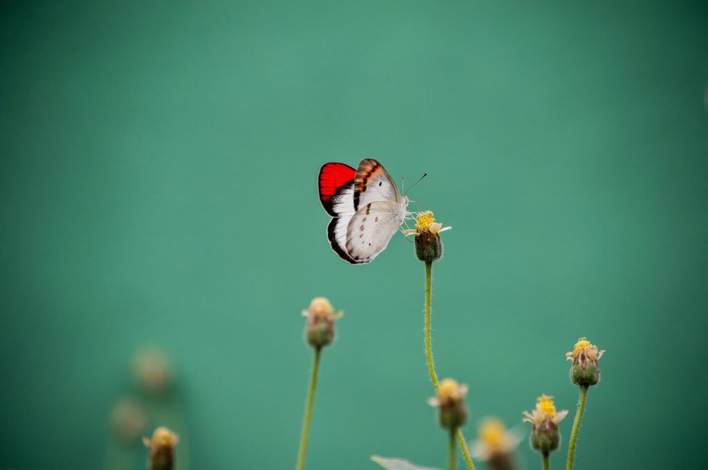 How AI Can Help You Discover Your Purpose
