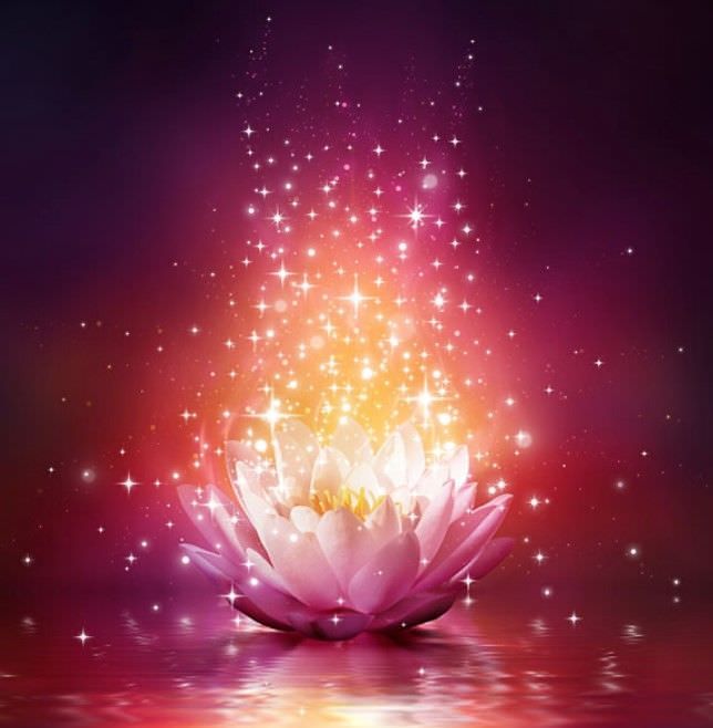 Manifesting Your Best Year: Aligning Intentions with Universal Energy